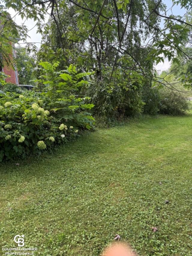 10729 Brandon Road Emmett, MI 48022 - Photo 35 of 48
