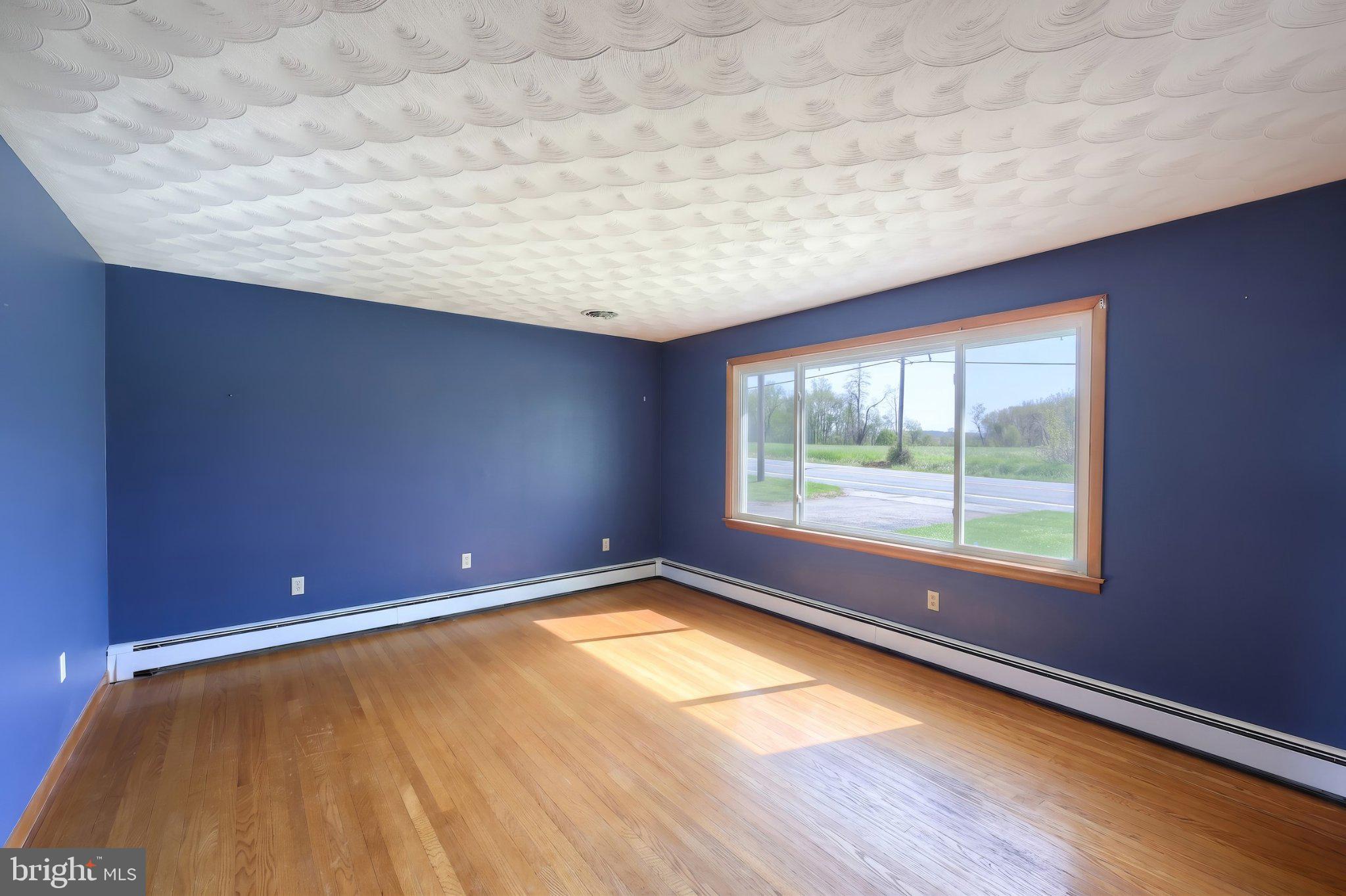 860 Witmer Road York, PA 17406 - Photo 9 of 40 Bright and airy space with blue walls.
