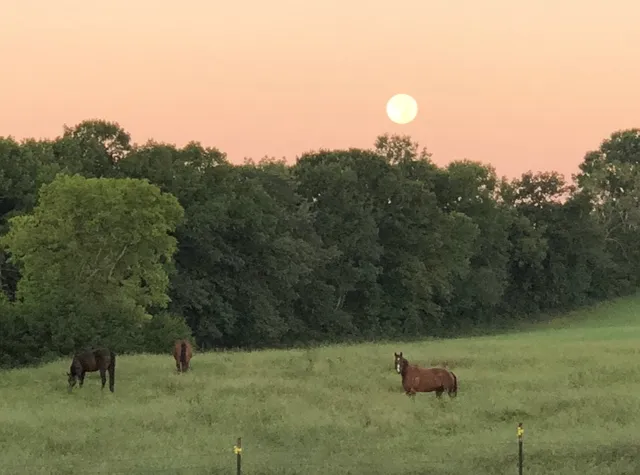 $1,375,000 | 5542 Southeast Tater Peeler Road, Lebanon, TN 37090