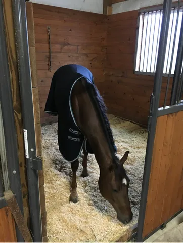 $1,375,000 | 5542 Southeast Tater Peeler Road, Lebanon, TN 37090