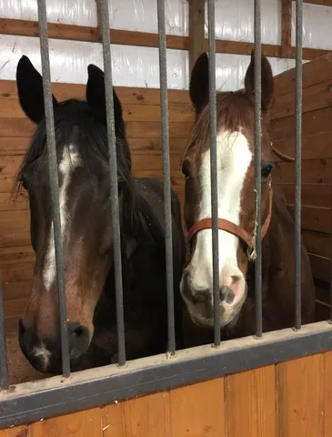 $1,375,000 | 5542 Southeast Tater Peeler Road, Lebanon, TN 37090