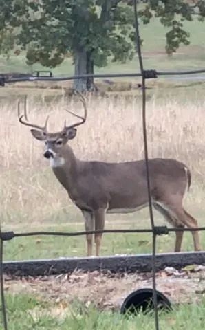 $1,375,000 | 5542 Southeast Tater Peeler Road, Lebanon, TN 37090