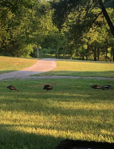 $1,375,000 | 5542 Southeast Tater Peeler Road, Lebanon, TN 37090