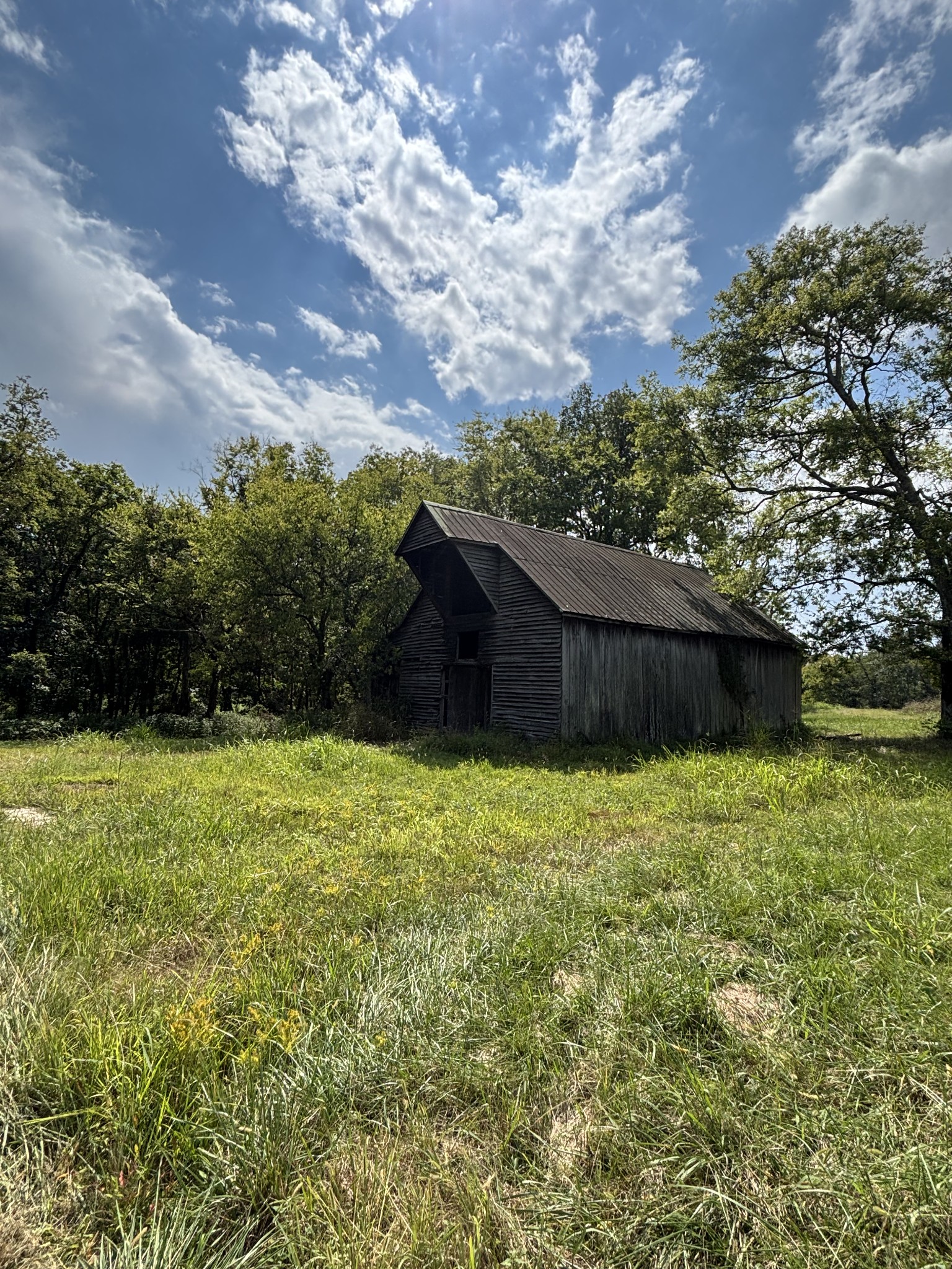 5542 Southeast Tater Peeler Road Lebanon, TN 37090 - Photo 50 of 61