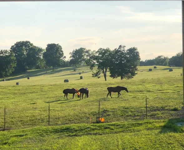 $1,375,000 | 5542 Southeast Tater Peeler Road, Lebanon, TN 37090