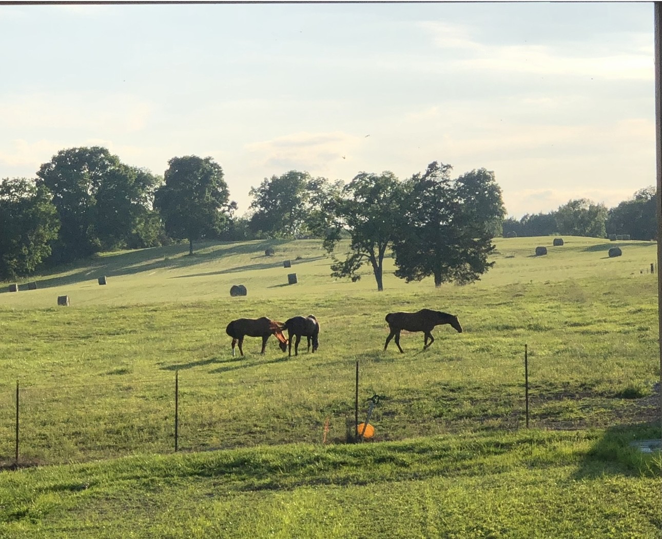 5542 Southeast Tater Peeler Road Lebanon, TN 37090 - Photo 52 of 61