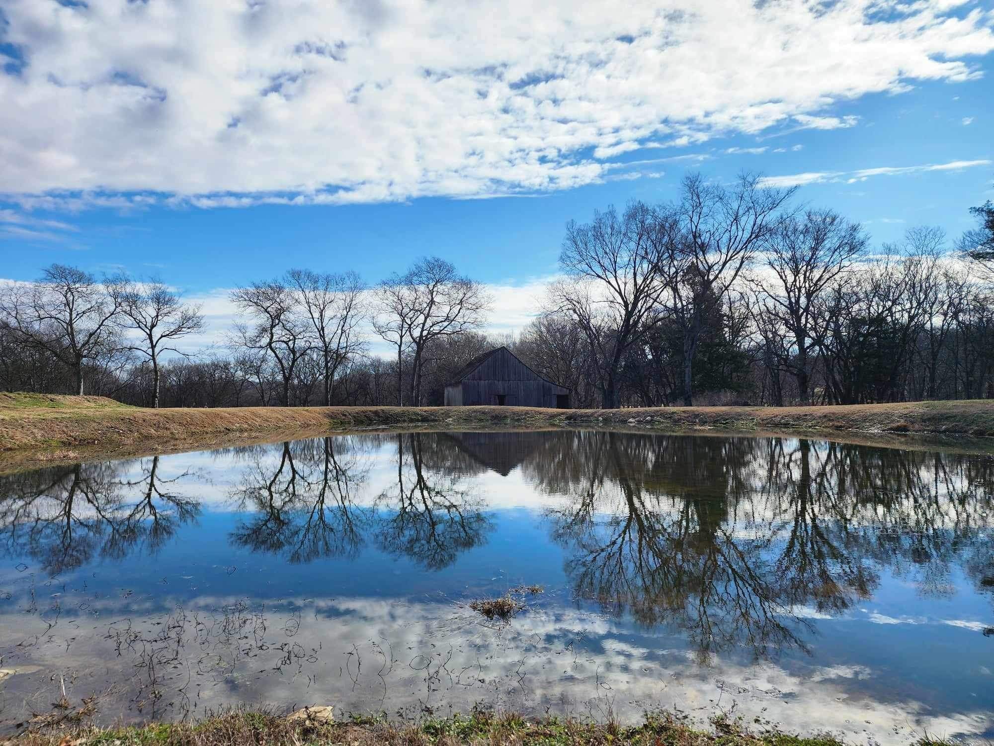 5542 Southeast Tater Peeler Road Lebanon, TN 37090 - Photo 58 of 61