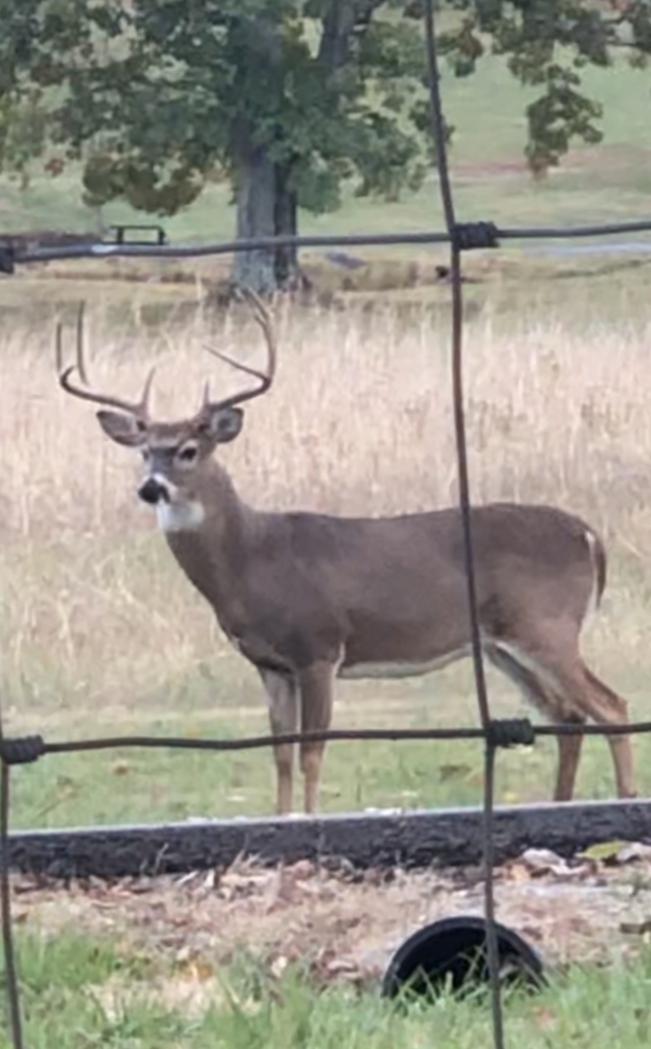 5542 Southeast Tater Peeler Road Lebanon, TN 37090 - Photo 61 of 61