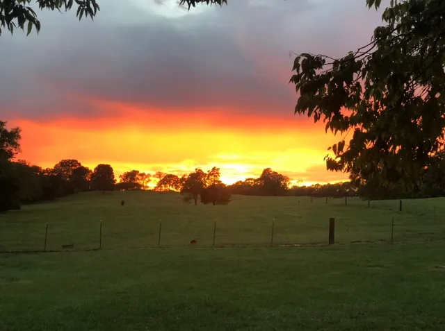 $1,375,000 | 5542 Southeast Tater Peeler Road, Lebanon, TN 37090