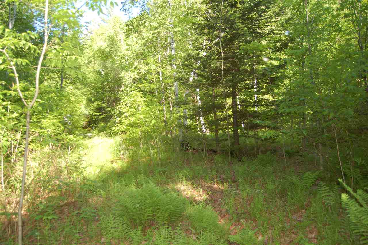 219 Colby Hill Road Springfield, NH 03257 - Photo 21 of 26