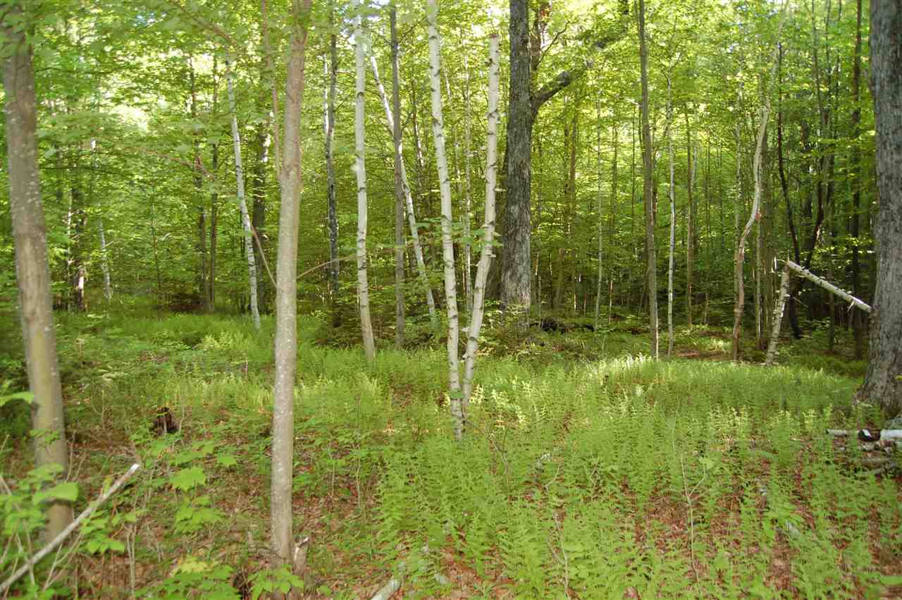 219 Colby Hill Road Springfield, NH 03257 - Photo 22 of 26