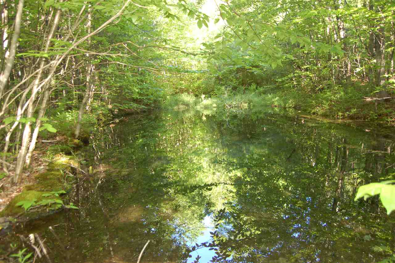 219 Colby Hill Road Springfield, NH 03257 - Photo 23 of 26