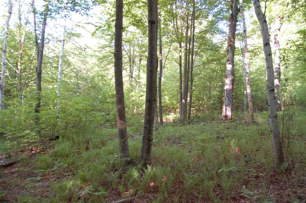 219 Colby Hill Road Springfield, NH 03257 - Photo 24 of 26