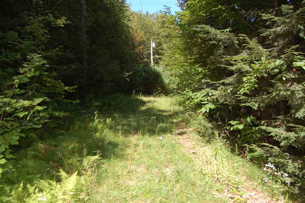 219 Colby Hill Road Springfield, NH 03257 - Photo 25 of 26