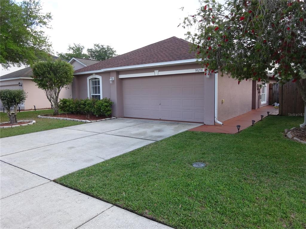 30238 Rattana Court Wesley Chapel, FL 33545 - Photo 2 of 34