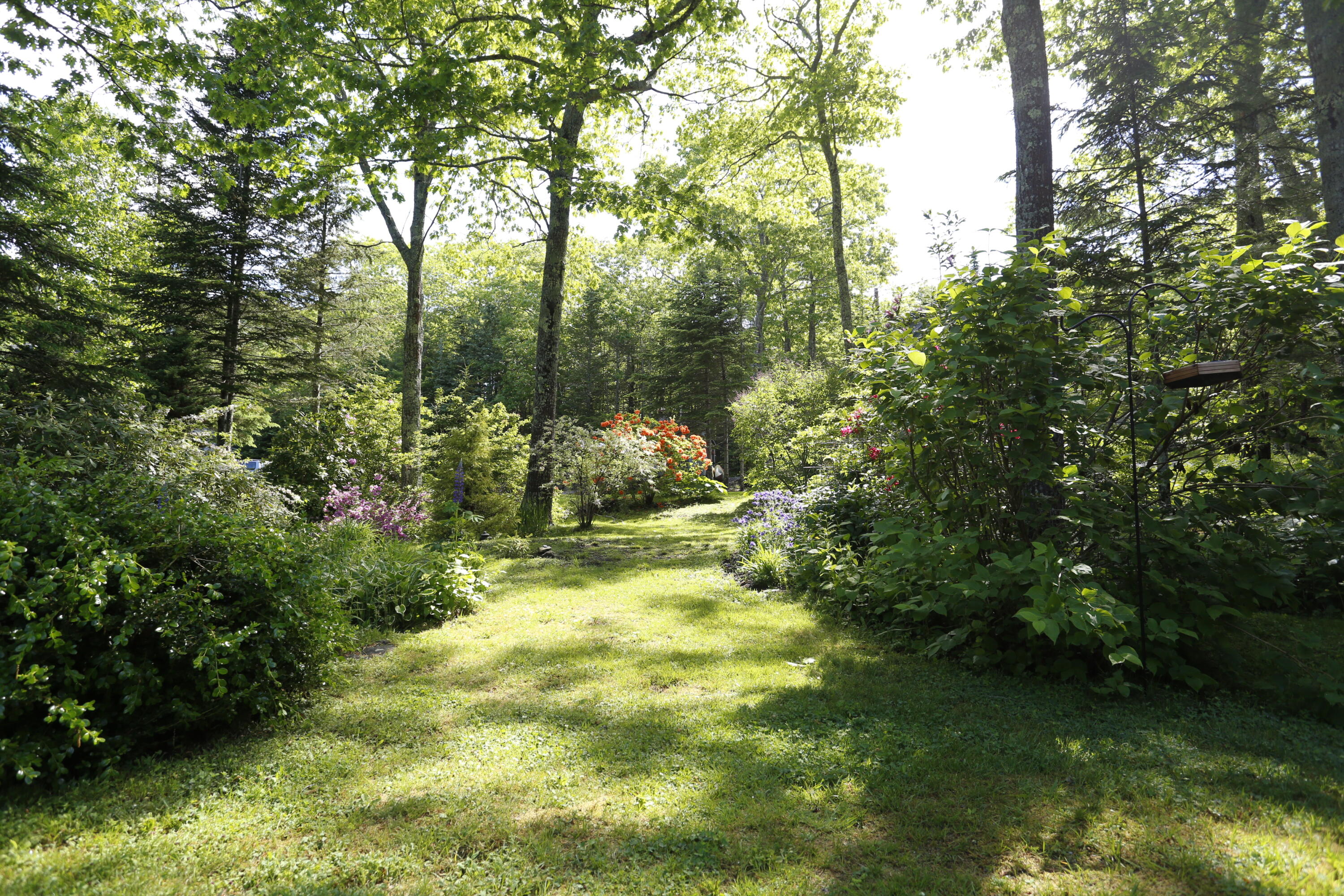 36 Granite Hill Road Pemaquid, ME 04558 - Photo 12 of 134 _S1A0153
