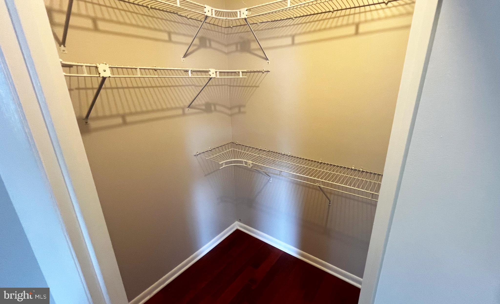 2505 229th Street Pasadena, MD 21122 - Photo 9 of 29 Primary closet