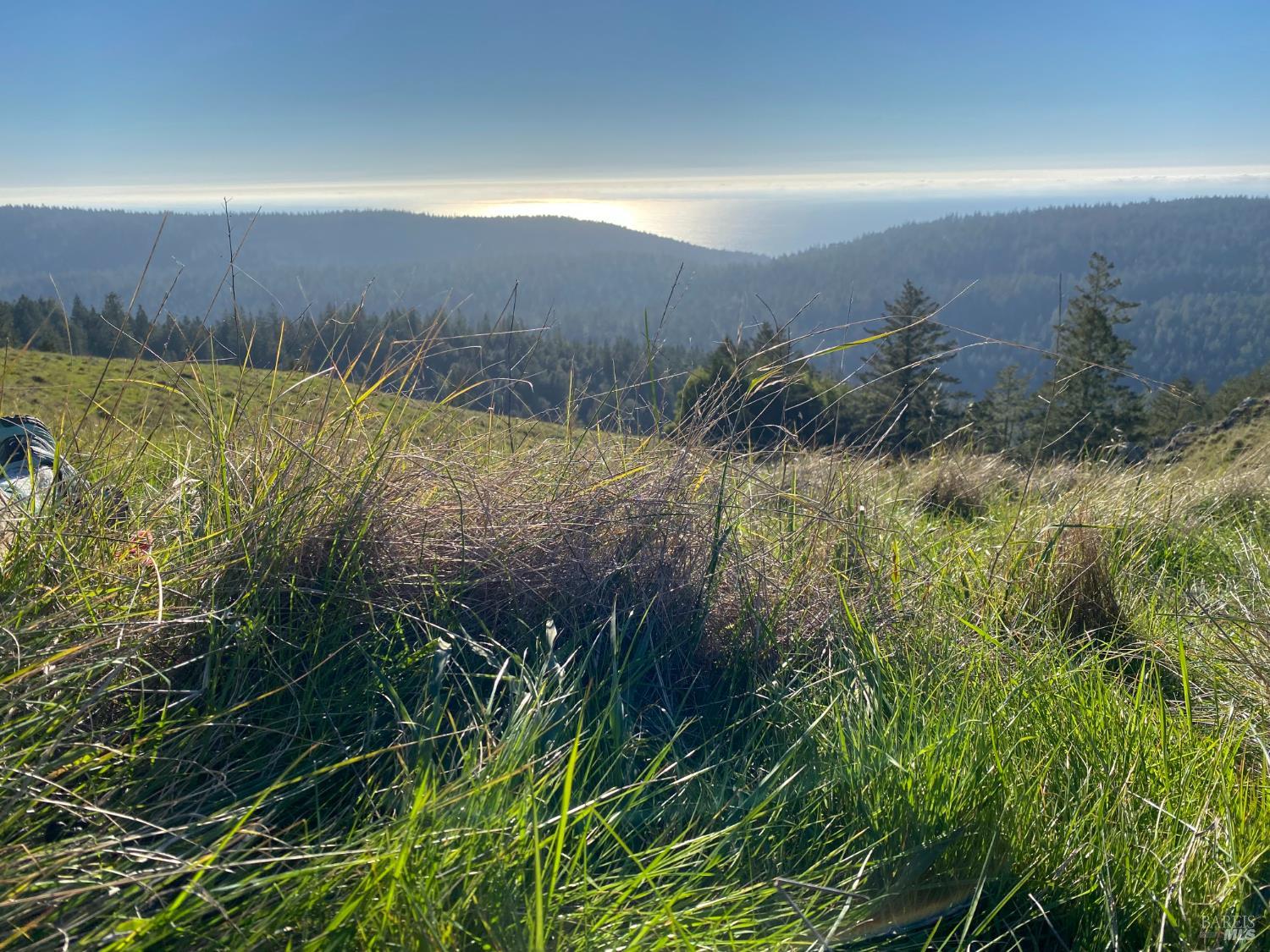 31010 Stewarts Point-skaggs Springs Road Annapolis, CA 95412 - Photo 63 of 78 a view of a lake and green valley
