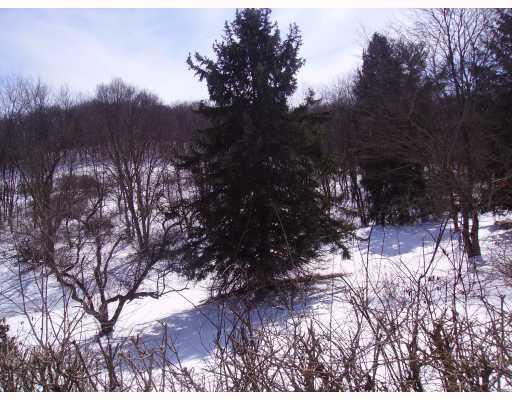 30 Hemphill Road Tarentum, PA 15084 - Photo 12 of 15 Land/Lot.