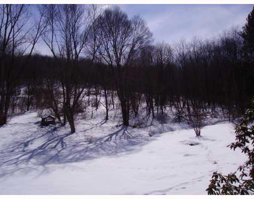 30 Hemphill Road Tarentum, PA 15084 - Photo 15 of 15 Land.