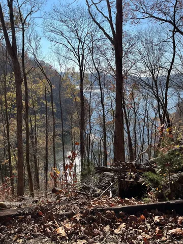 a view of a backyard of the house