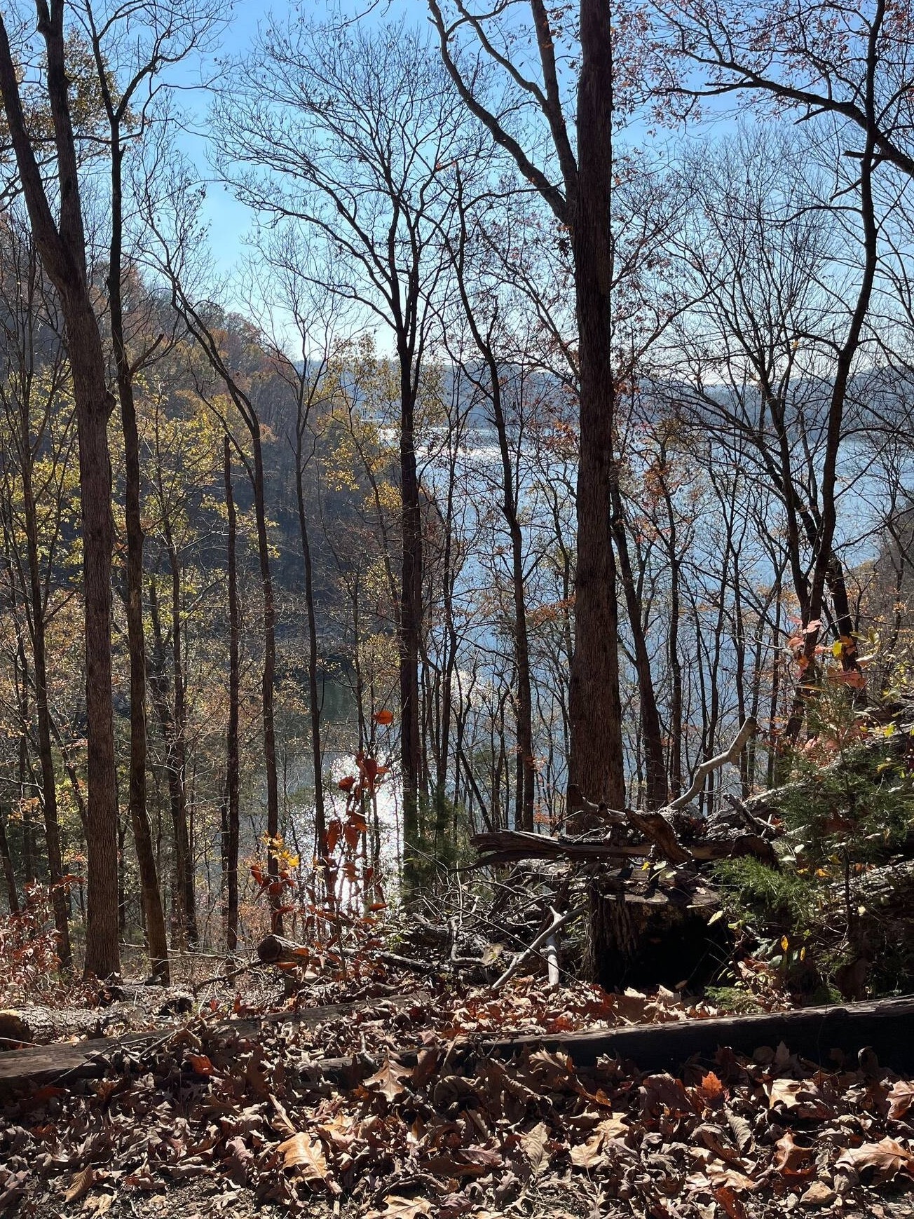 1490 Ford Road Baxter, TN 38544 - Photo 3 of 24 a view of a backyard of the house