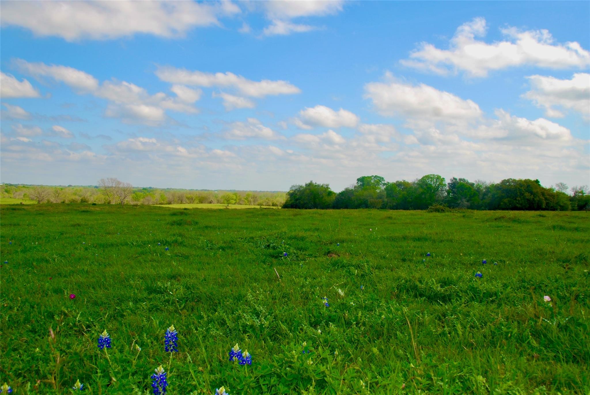 450 County Road 217 Schulenburg, TX 78956 - Photo 13 of 19 a view of a city