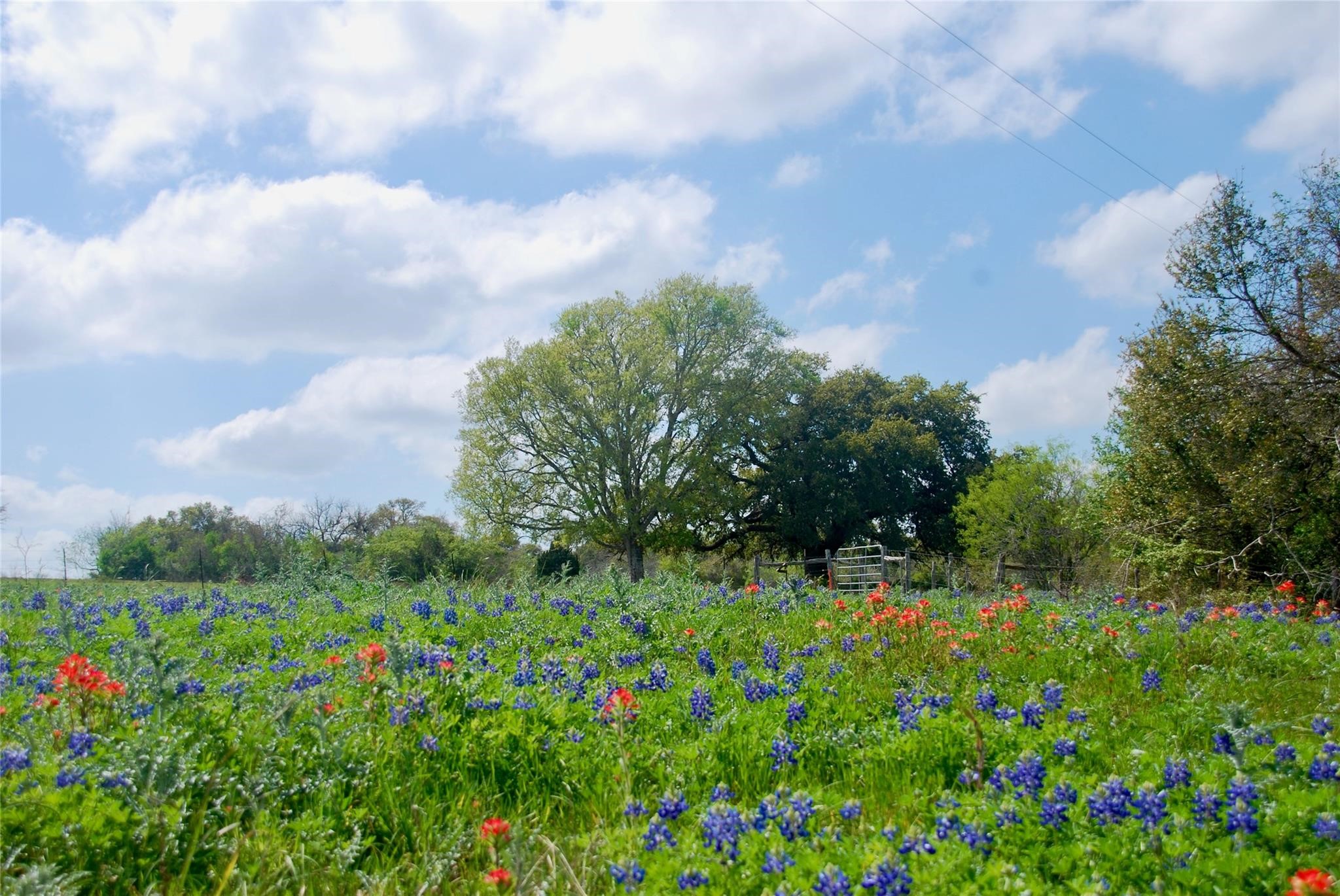 450 County Road 217 Schulenburg, TX 78956 - Photo 2 of 19 a view of a garden with a building in the background