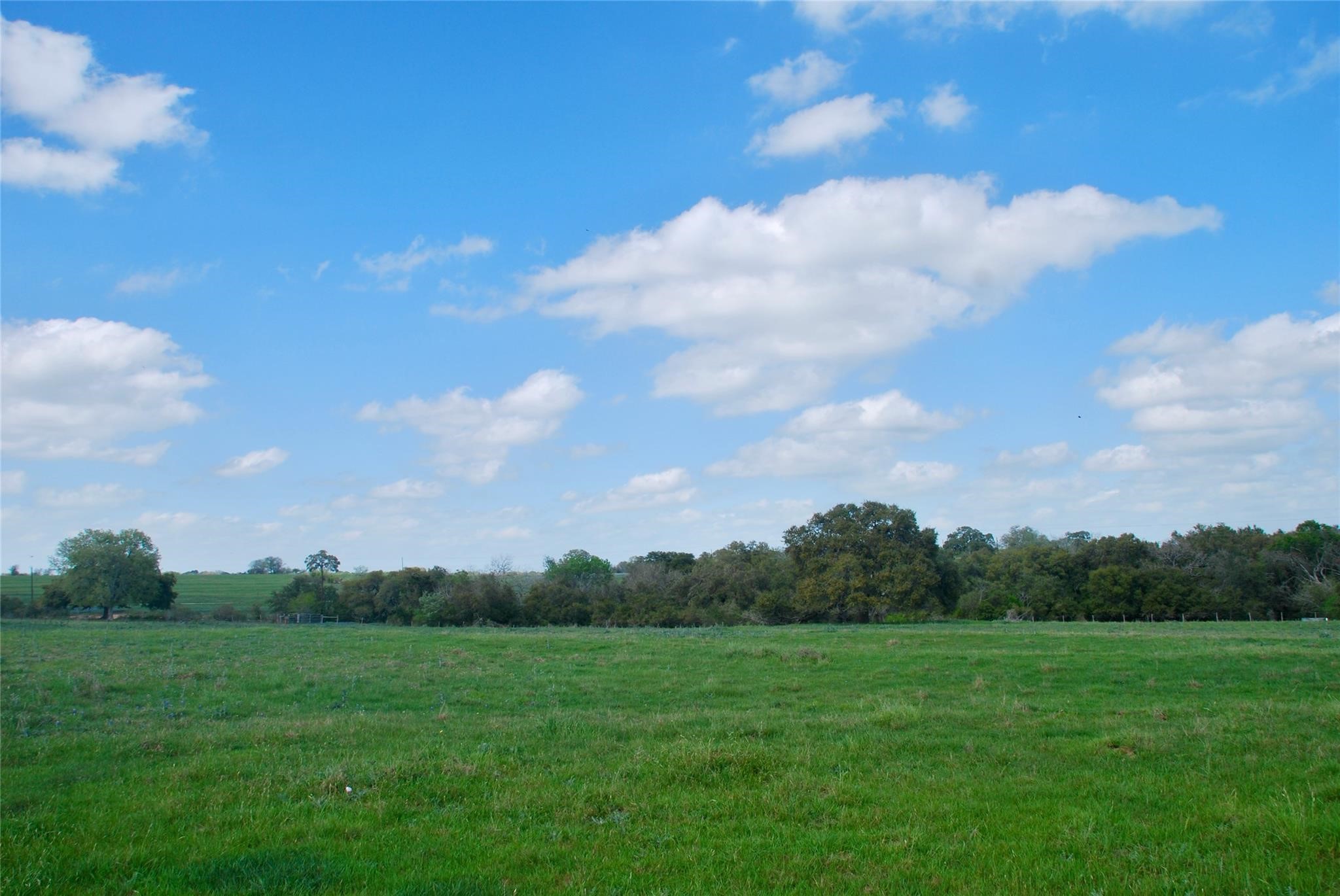 450 County Road 217 Schulenburg, TX 78956 - Photo 10 of 19 a view of field with trees in the background