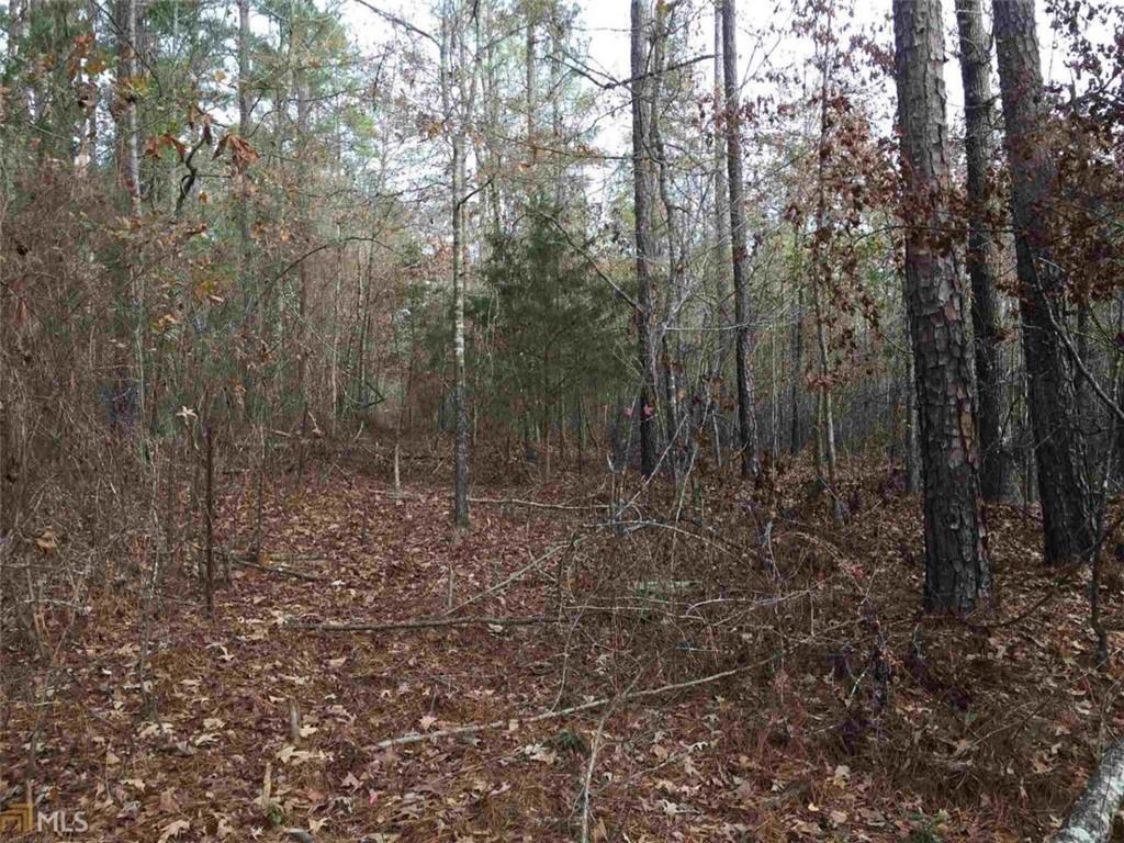 393 Stallsworth Road McDonough, GA 30252 - Photo 2 of 7 a view of a forest with trees in the background