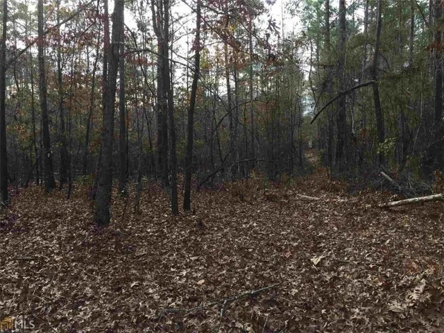 a view of backyard with green space