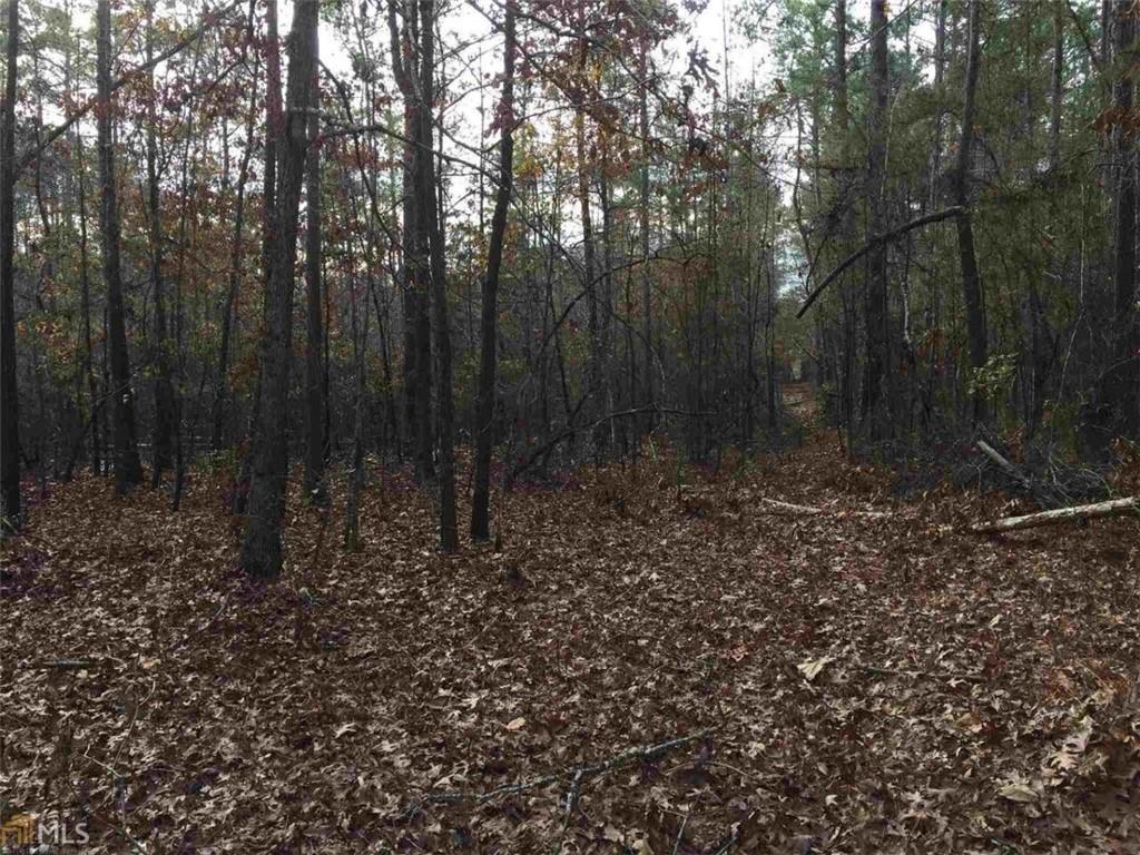 393 Stallsworth Road McDonough, GA 30252 - Photo 3 of 7 a view of backyard with green space