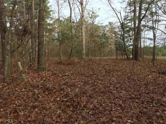 a view of a yard with trees