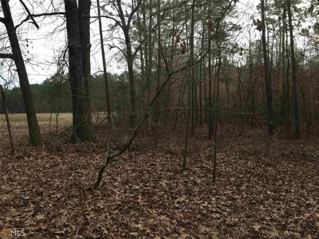 a view of a yard with large trees