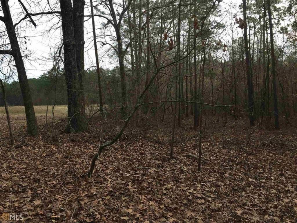 393 Stallsworth Road McDonough, GA 30252 - Photo 5 of 7 a view of a yard with large trees