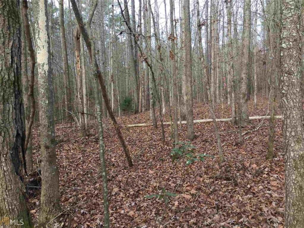 393 Stallsworth Road McDonough, GA 30252 - Photo 7 of 7 a view of wooden fence