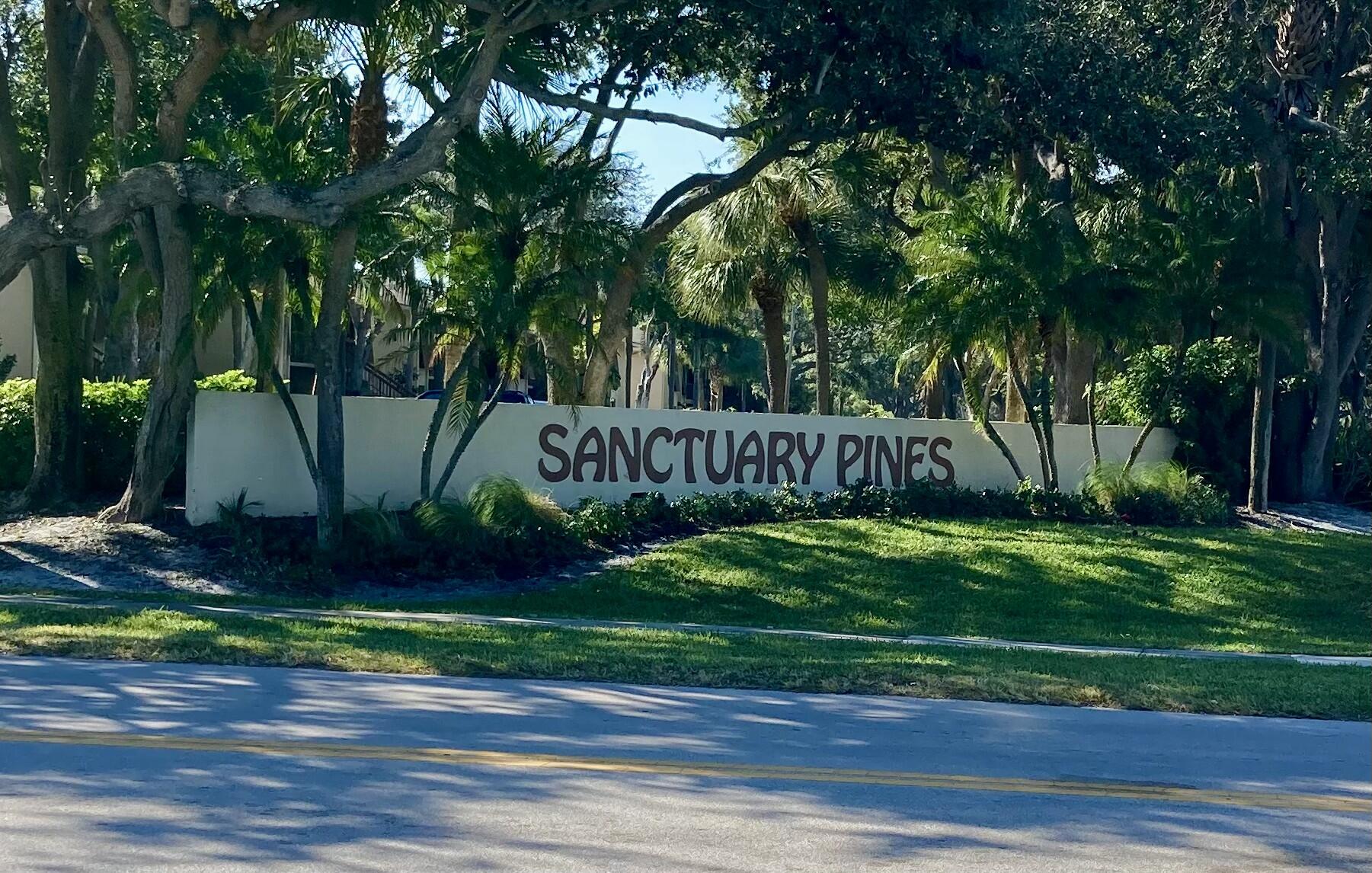 Sanctuary Pines