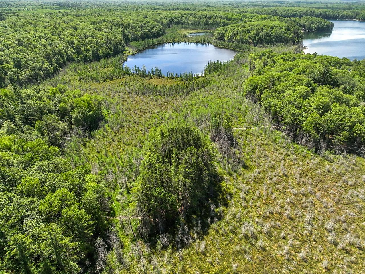 7895 Alva Lake Road Lake Tomahawk, WI 54539 - Photo 39 of 85 Gallery Image 39