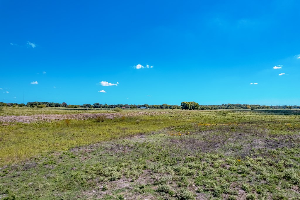 0 Private Road Athens, TX 75751 - Photo 19 of 22