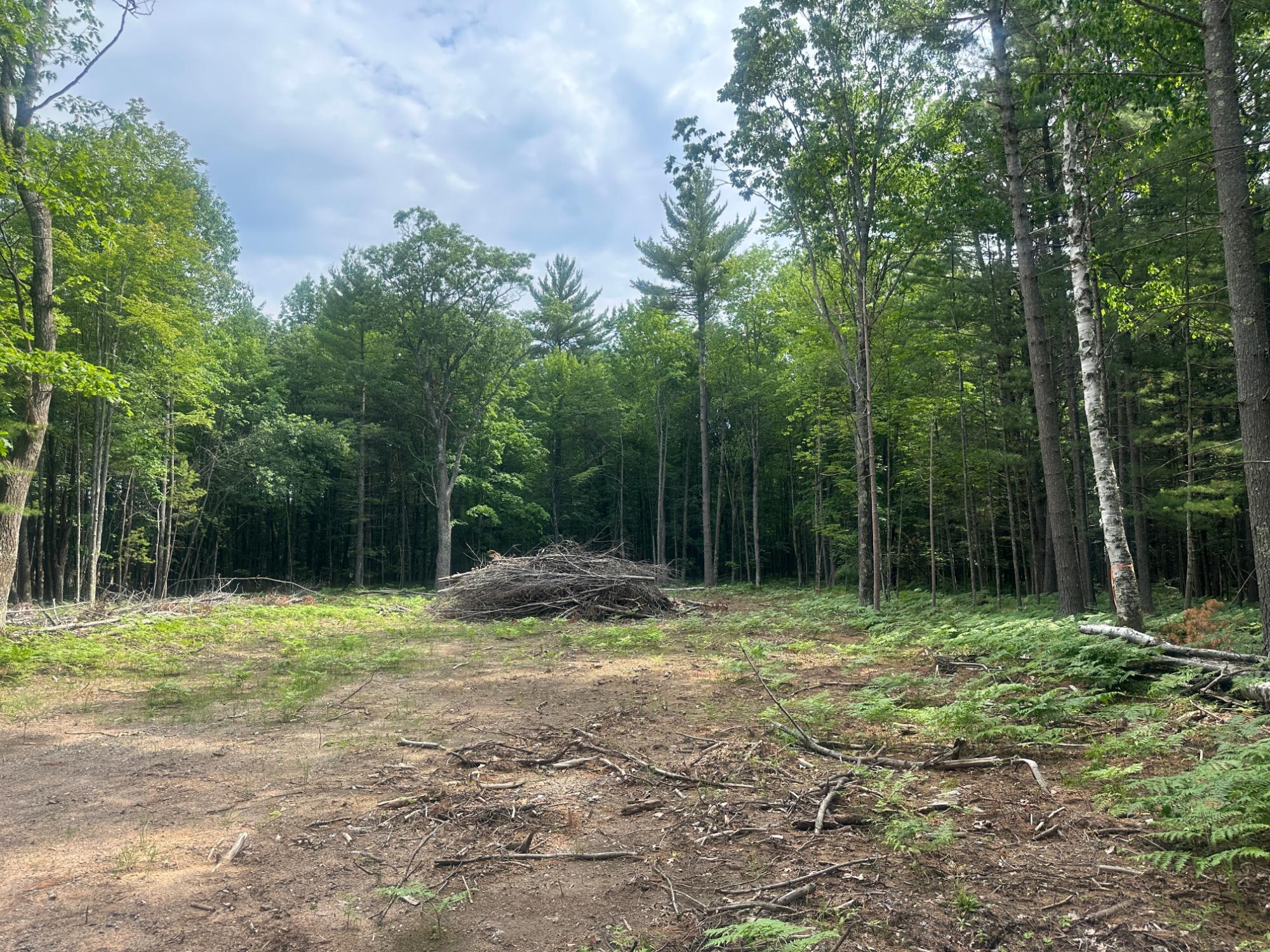 Lot 6 Pine Breeze Way Rhinelander, WI 54501 - Photo 1 of 6 Gallery Image 1