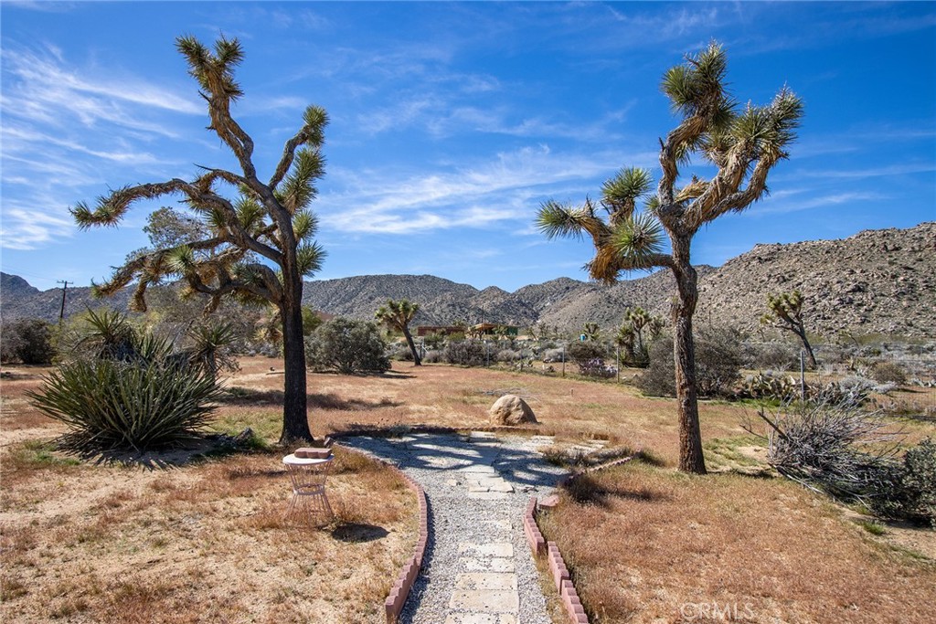 7994 Sunset Road Joshua Tree, CA 92252 - Photo 26 of 31