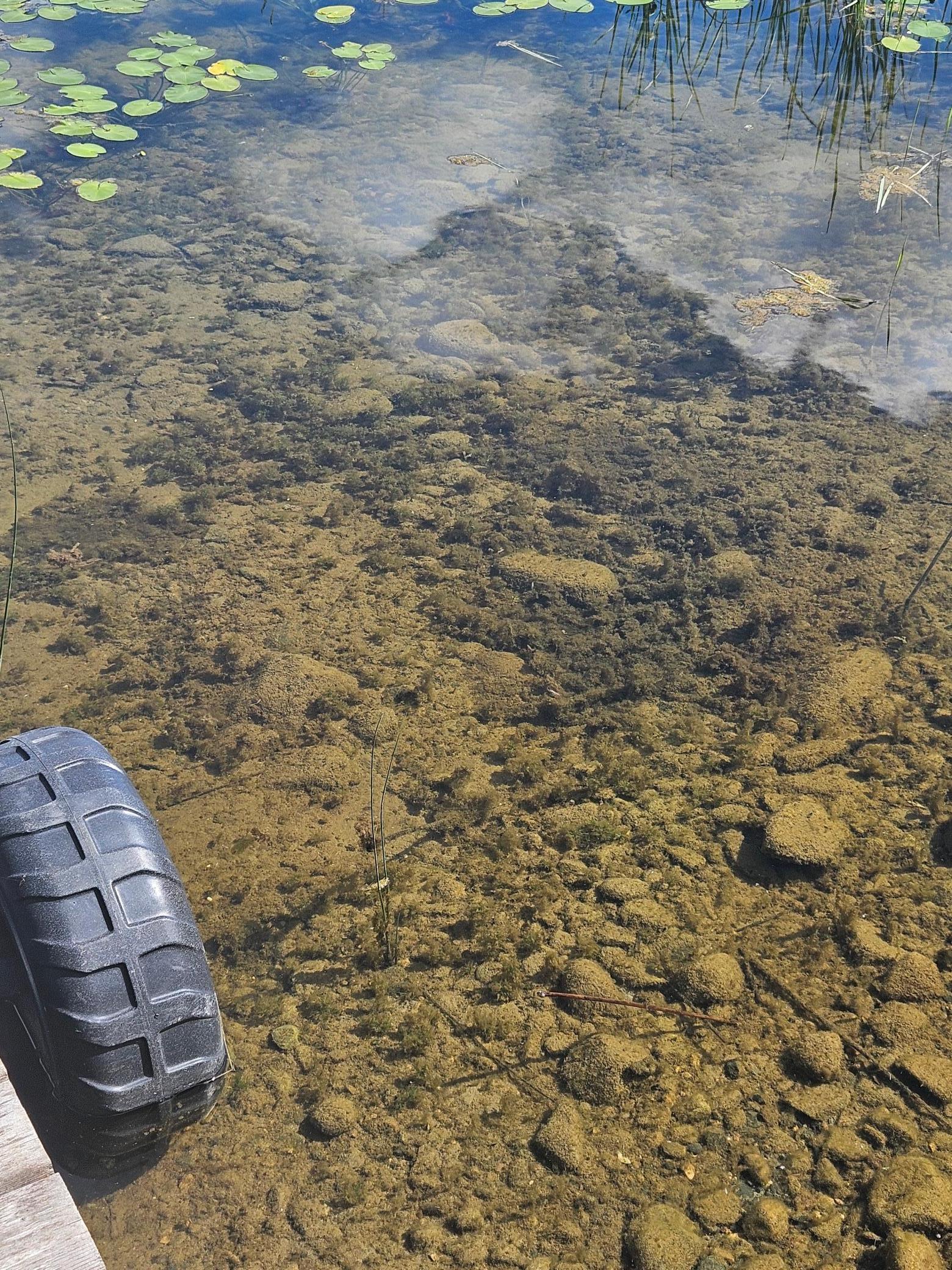 576 Pine Mountain Lake Road Northwest Backus, MN 56435 - Photo 7 of 28