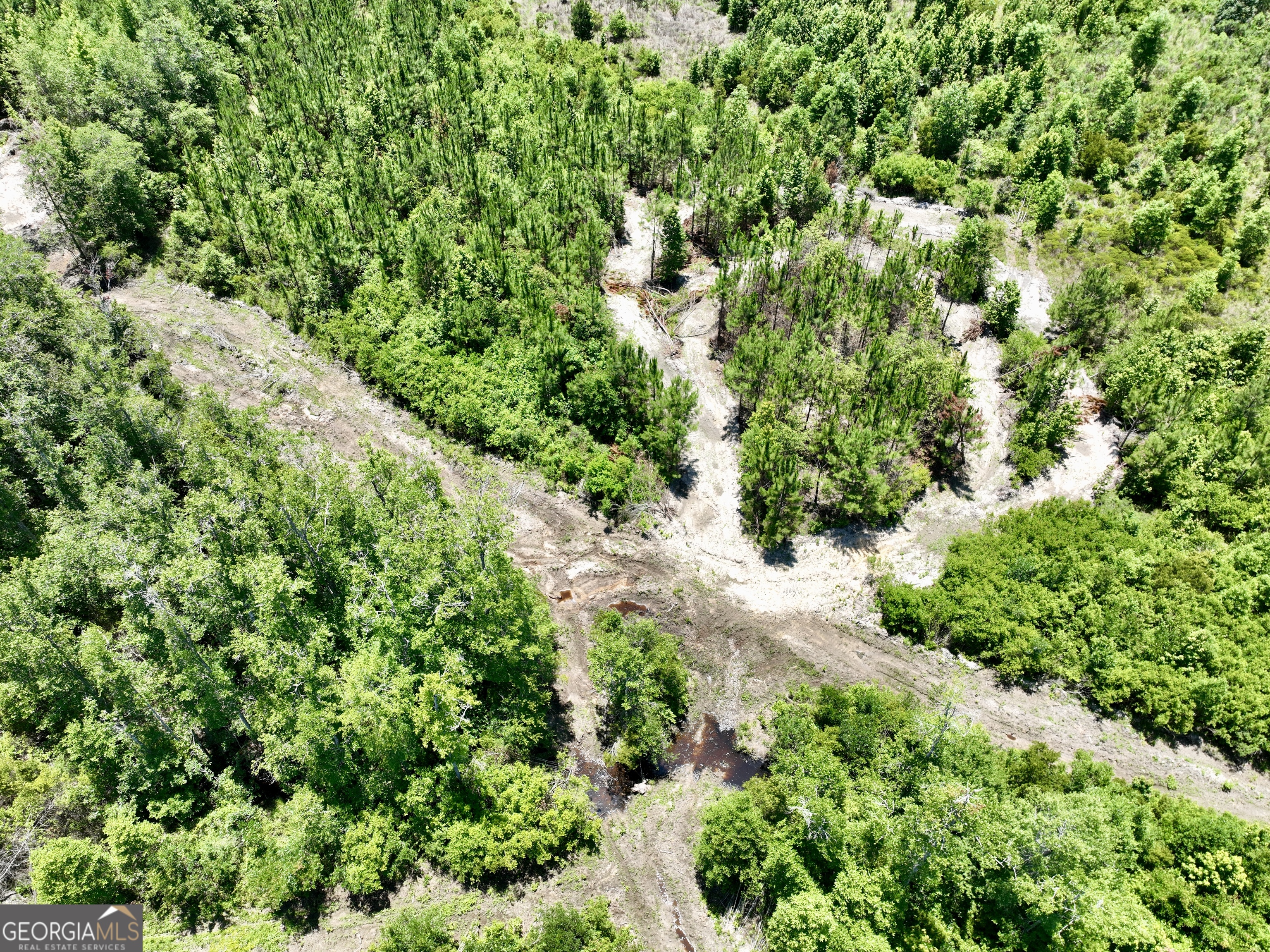 0 West River Road Rhine, GA 31077 - Photo 27 of 31