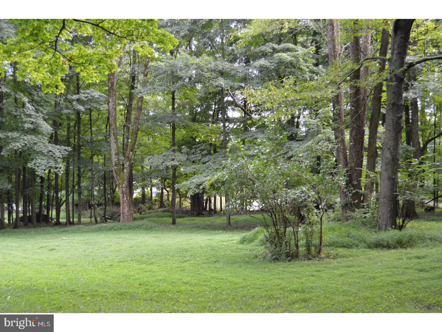 1 Ferry Road Doylestown, PA 18901 - Photo 9 of 24 View