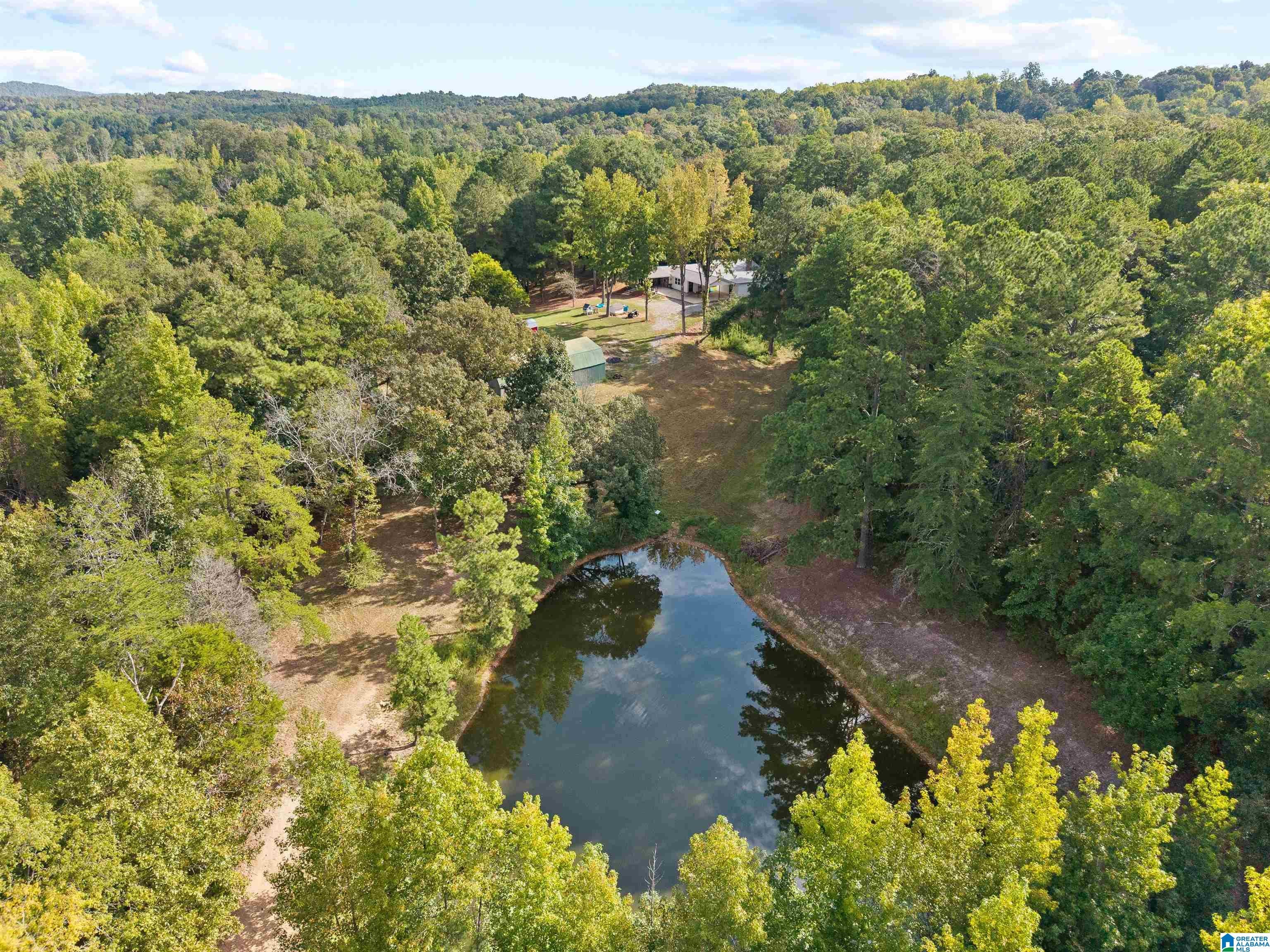 2516 Red Valley Road Remlap, AL 35133 - Photo 29 of 40 Gallery Image 29