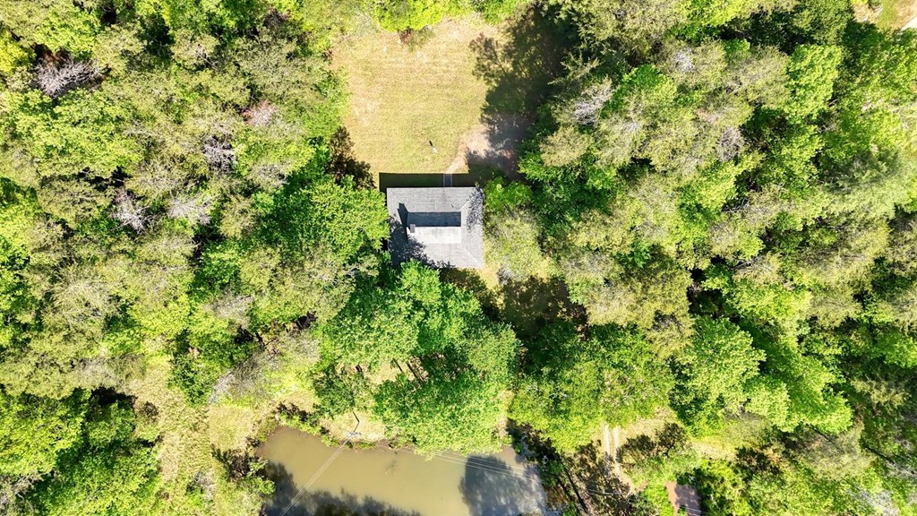 1493 Greasy Creek Road Brasstown, NC 28902 - Photo 47 of 51