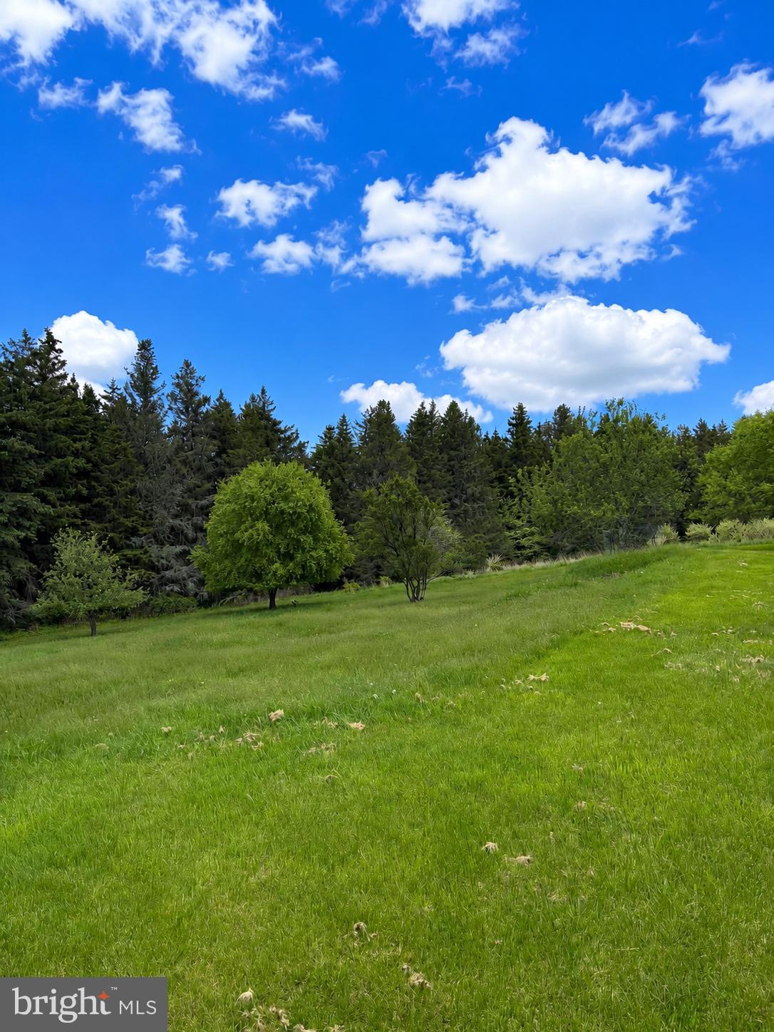 505 Scott Road Sabinsville, PA 16943 - Photo 15 of 72