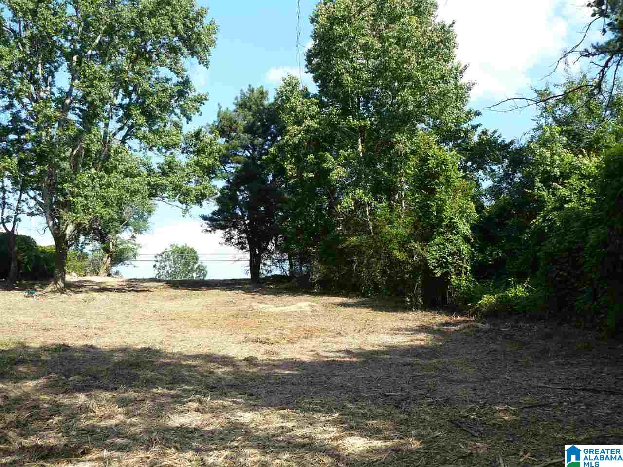 South Shades Crest Road Helena, AL 35022 - Photo 2 of 11