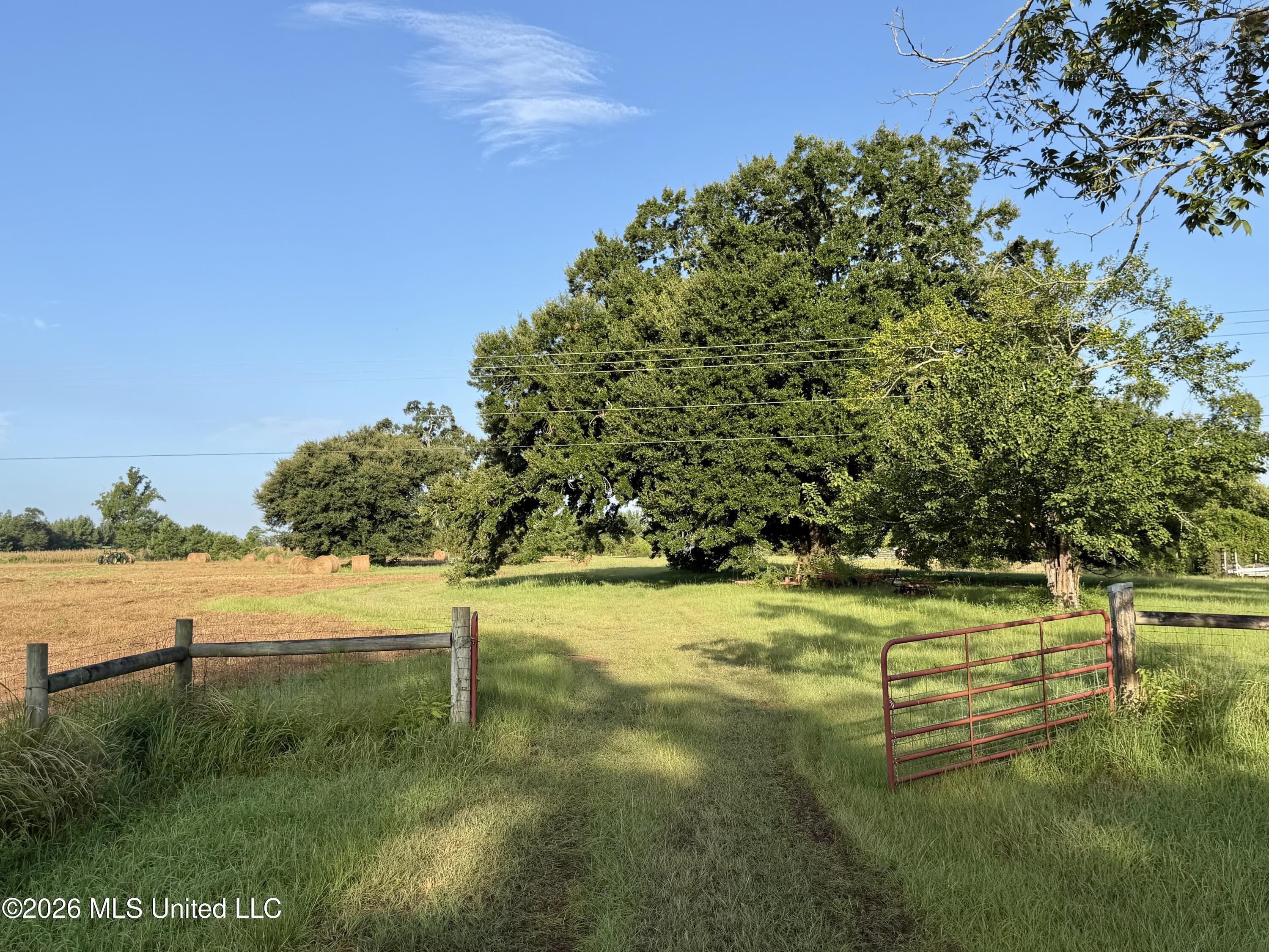 64.9 Neely Avera Road Neely, MS 39461 - Photo 1 of 12 IMG_5240