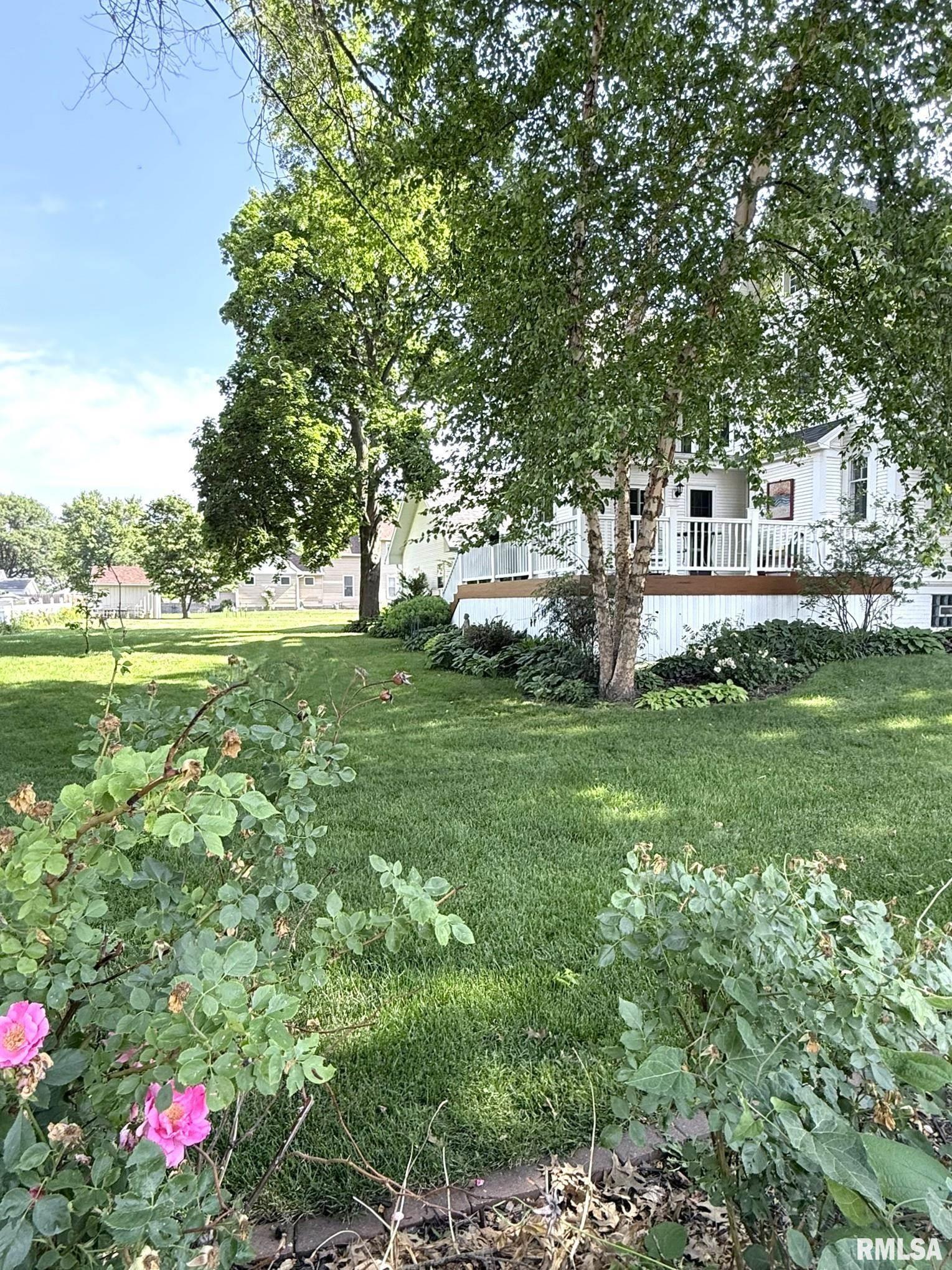 301 North Main Street Alexis, IL 61412 - Photo 14 of 100